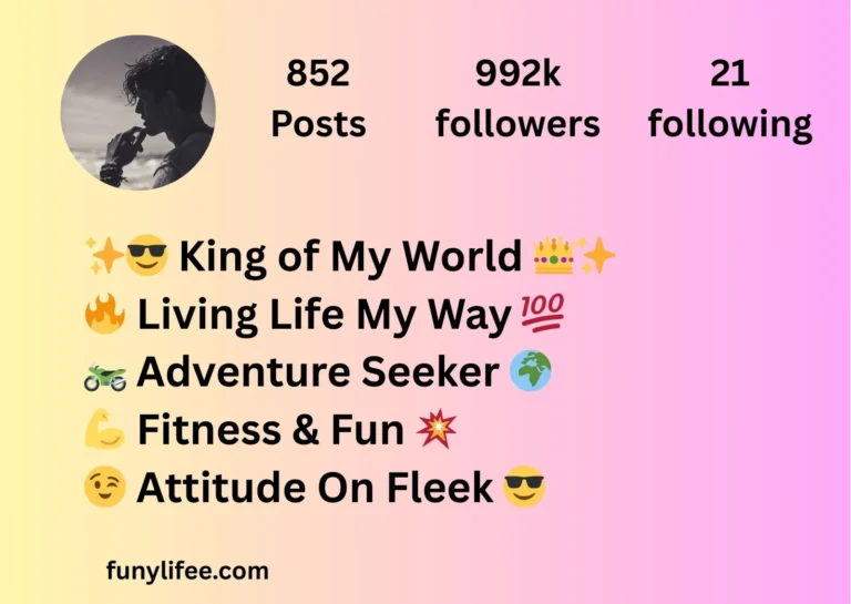 Instagram Bio